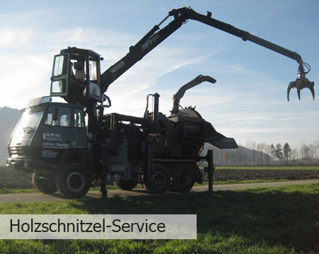 holzschnitzel-service